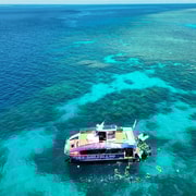 Cairns: snorkeling di mezza giornata nella Grande Barriera Corallina, tutto compreso