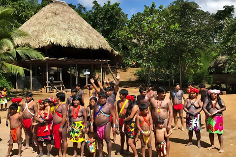 Excursión a la aldea Embera y a la selva tropical de las cataratas con almuerzo y servicio de recogidaRecogida en el Hotel Playa Bonita
