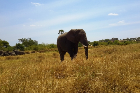 Safari de 3 días al Cráter del Ngorongoro, Empakai y Tarangire