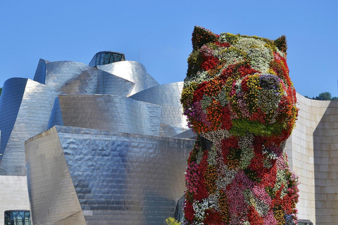 Bilbao: Guided City Tour with Cruise Port Pickup