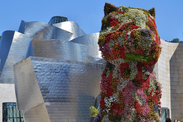 Bilbao: Guided City Tour with Cruise Port Pickup