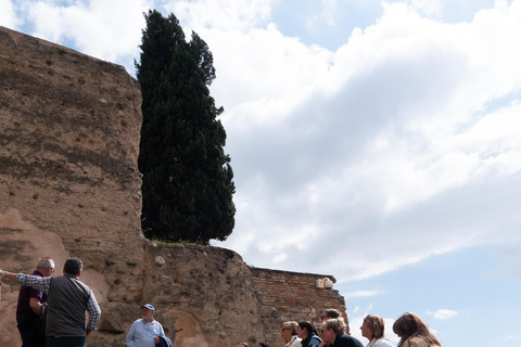 格拉纳达：好莱坞与萨克罗蒙特之旅