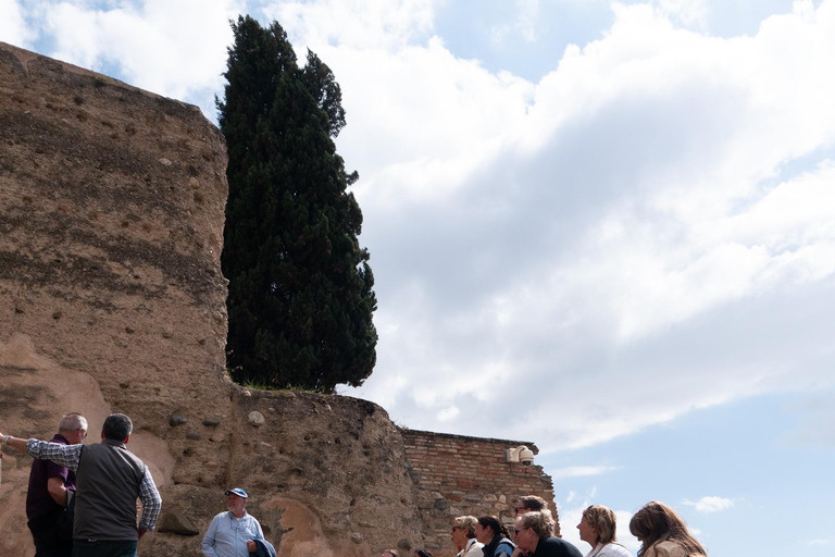 格拉纳达：好莱坞与萨克罗蒙特之旅