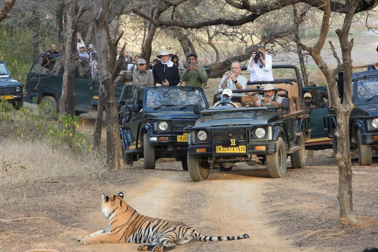 Delhi: 2-Day Ranthambore Safari by Car with Hotel Delhi to Ranthambore Overnight Tour with Safari & 3* Resort