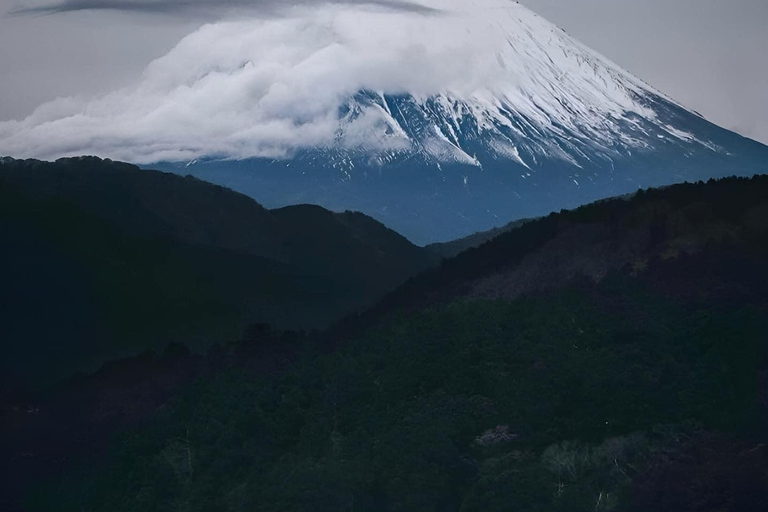 Desde Tokio: Visita guiada privada de día completo al Monte Fuji