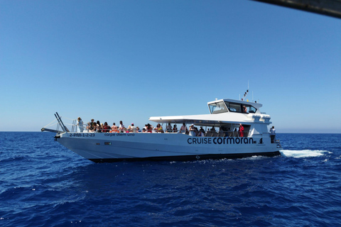 Desde Palma: tour en barco de 3 horas por la mañana para avistar delfines1049 Poliesportiu Rudy Fernandez Parada de autobús Recogida a las 9:55 AM