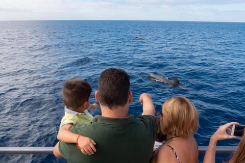 Costa Adeje: Whale Watching Bootstour