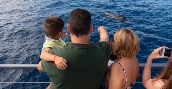 Costa Adeje: Whale Watching Cruise