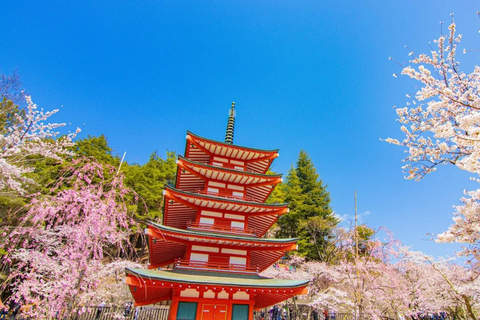 Tokyo: Mt. Fuji Private Scenic Tour with Custom Stops