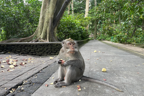 Bali: Private Ubud Highlights Tour with Customized Tour Temple, Monkey Forest, Waterfalls, & More (Without Tickets)