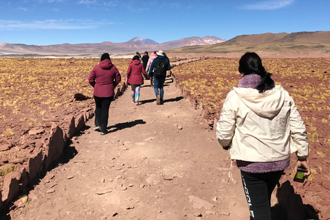 San Pedro de Atacama : Combo d'activités de 3 jours avec 4 excursions