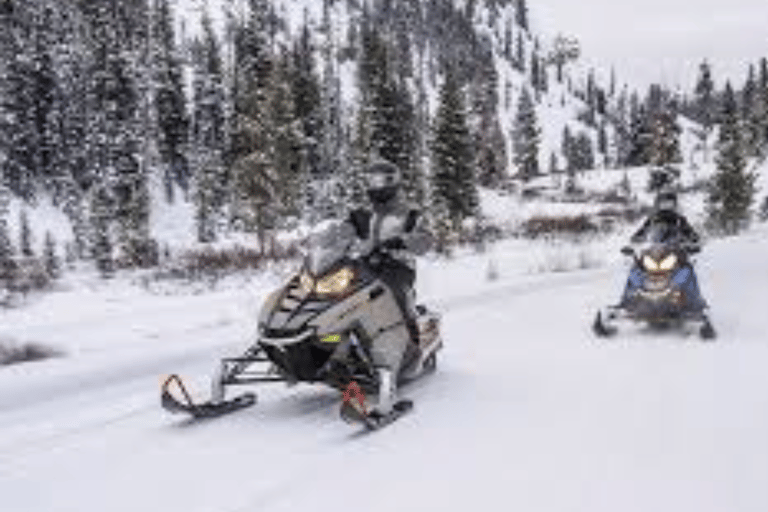 Ciudad de Quebec: Excursión guiada en moto de nieve1,5 horas de alquiler guiado de moto de nieve