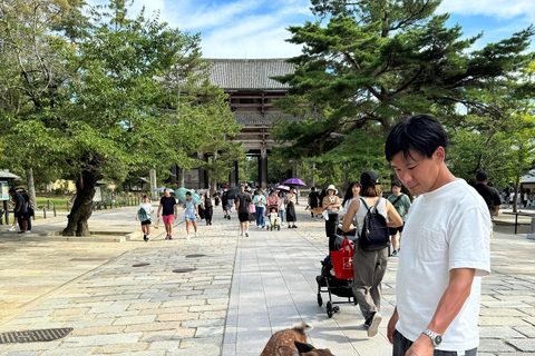 Nara: tour guidato a piedi con il Grande Buddha e i cervi(5h)