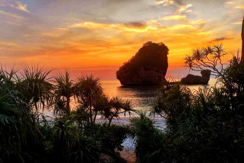 Phi Phi: Guided Jungle Trek & Night Swim with Plankton Trek with French-Speaking Guide