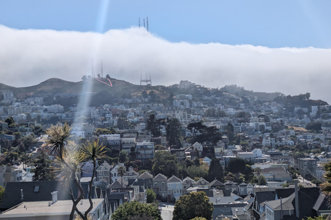 De San Francisco Tour Co. Luxe Eco Stadsrondleiding