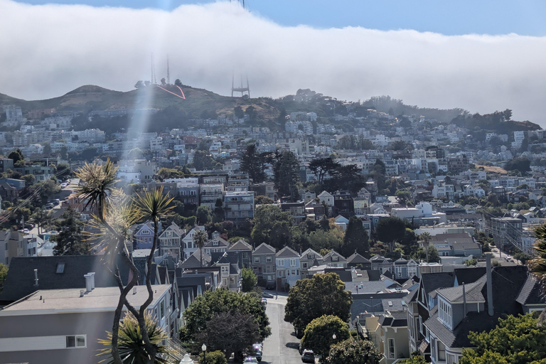 De San Francisco Tour Co. Luxe Eco Stadsrondleiding