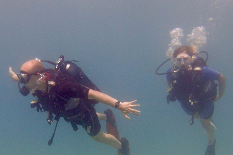 Paphos: Entdecken Sie das Tauchen mit Abholung