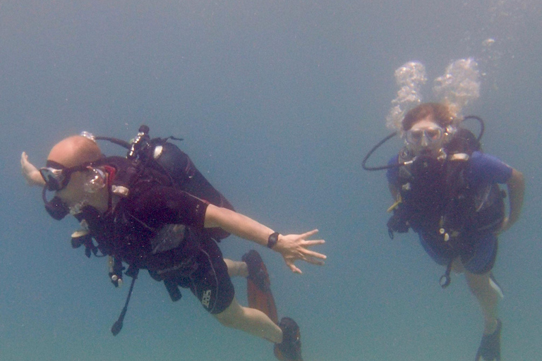 Paphos: Entdecken Sie das Tauchen mit Abholung