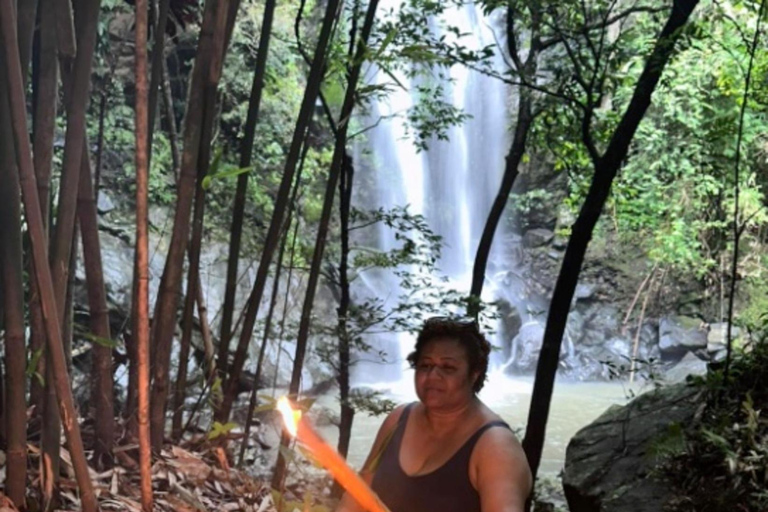Nadi: Wycieczka do wodospadu z przekąskami i lunchemNadi: Wycieczka do wodospadu z poczęstunkiem i lunchem