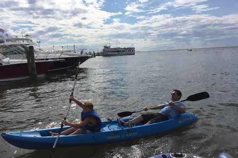 Key Largo: Mangrove Kayak Rental (Single or Double Kayaks)