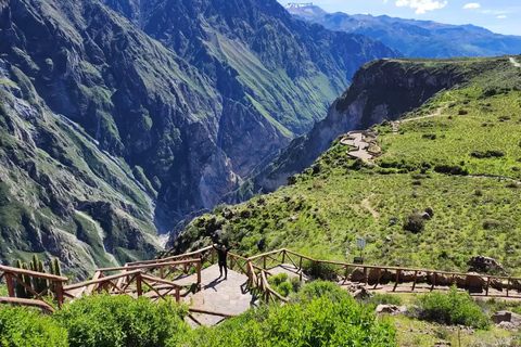 Arequipa: Ausflug nach Chivay und in den Colca Canyon