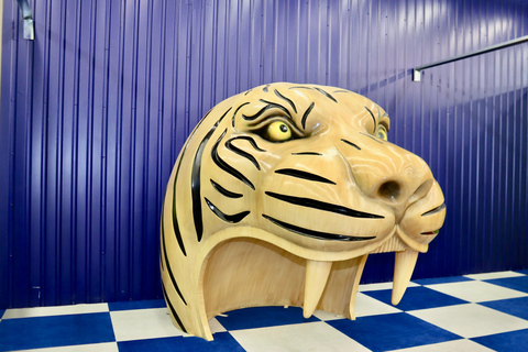 Houston: bilet wstępu do Colossal MuseumHouston: Bilet wstępu do Colossal Museum