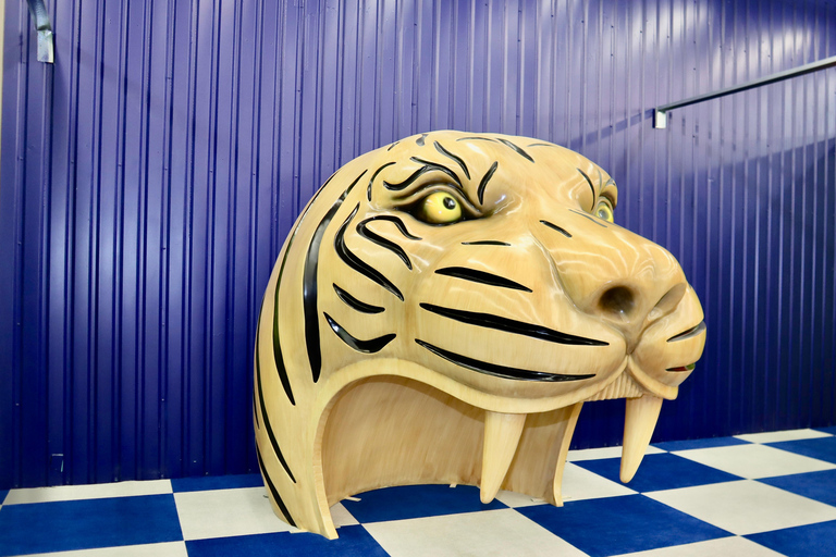 Houston: bilet wstępu do Colossal MuseumHouston: Bilet wstępu do Colossal Museum