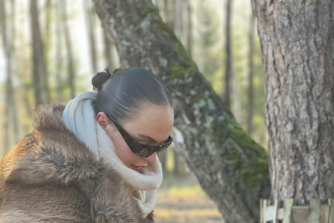 From Riga: Husky Sledding & Floating Sauna Day Trip