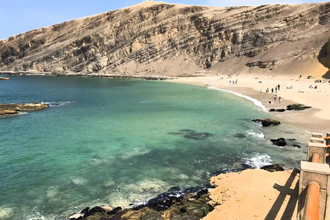 Paracas: Full Day Between Ocean and Desert From Ica: Tambo Colorado and the Hidden Oasis of the Paracas Desert