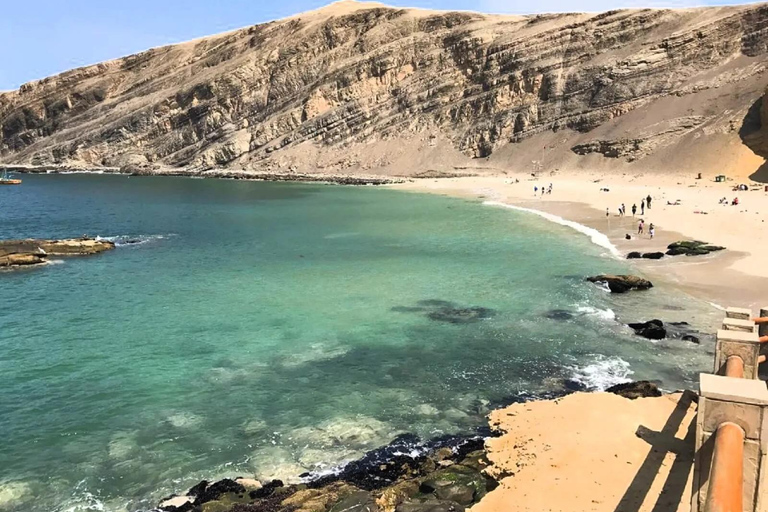 Paracas: Full Day Between Ocean and Desert From Ica: Tambo Colorado and the Hidden Oasis of the Paracas Desert