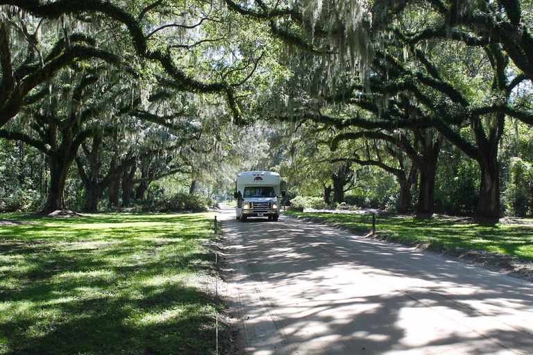 Charleston : Visite de la plantation de Boone Hall avec transport