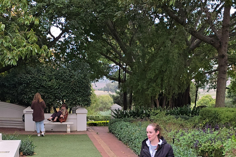 Cape Town: Cruise Passengers sunset Safari & Wine Tour