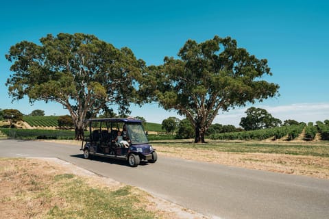 Barossa Valley: EcoVine Explorer - e-cart vineyard tour - Image 2