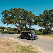 Barossa Valley: EcoVine Explorer - e-cart vineyard tour
