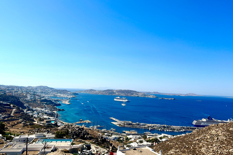 Visite de 4 heures à Mykonos en espagnol4 heures de visite de Mykonos en anglais