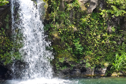 Increíble excursión a la Isla Círculo