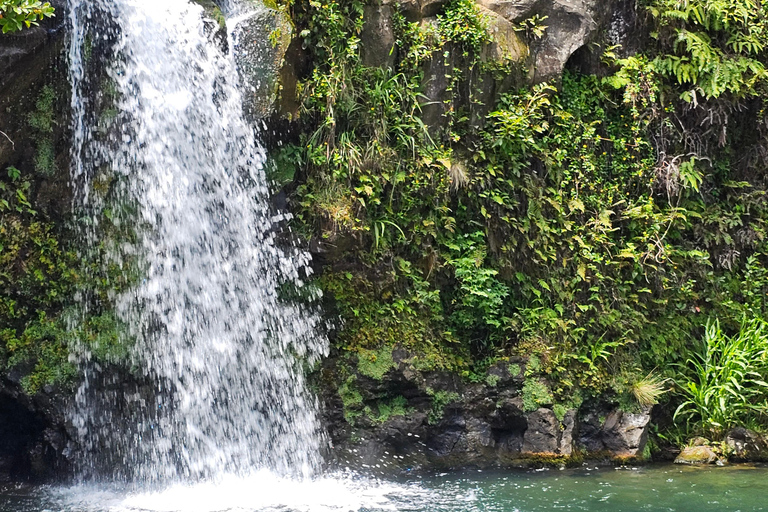 Increíble excursión a la Isla Círculo