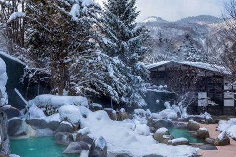 طوكيو جولة خاصة ليوم واحد في حديقة القرود الثلجية ومعبد زينكوجيجولة قرد الثلج ومعبد زينكوجي في سيا