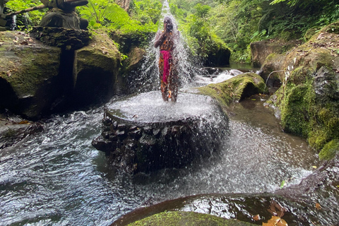 Bali: Tour del villaggio di Taro e del tempio dell&#039;acqua di sorgente sacraTour del Tempio dell&#039;Acqua Santa con trasporto da Ubud