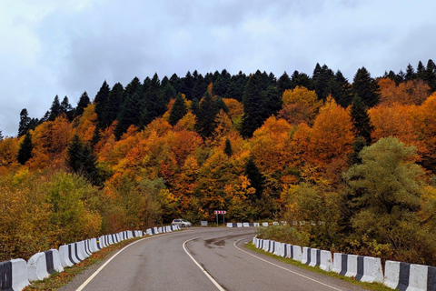 راتشا بالألوان – مغامرة خريفية في جبال جورجياراشا بالألوان – مغامرة الخريف في جبال جورجيا