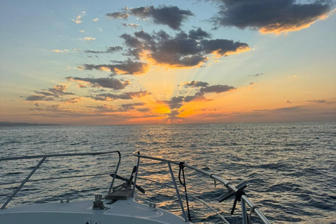 Estepona: Fishing Tour StartFisher 1060