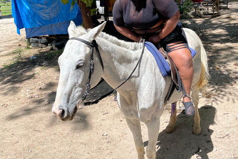 Ocho Rios: Ultra 4Play ATV, Horseback Riding, Dunn's River