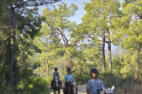 Side: Horse Safari and Family Activity Park Entry 2-Hour Extended Horse Safari Experience