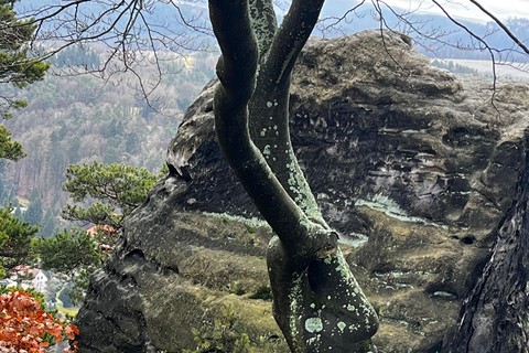 From Dresden: Table mountains Lilienstein & Königstein tour