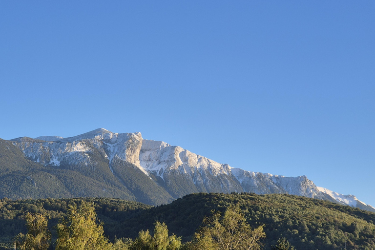 Sarajevo: Bosnian Cooking Experience with Mountain Views
