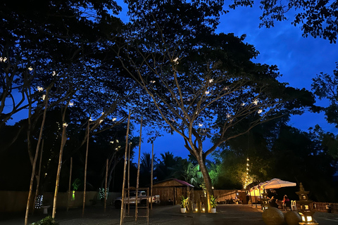 Puerto Princesa: Iwahig eldflugsskådning och flodkryssningEldflugetur med middag