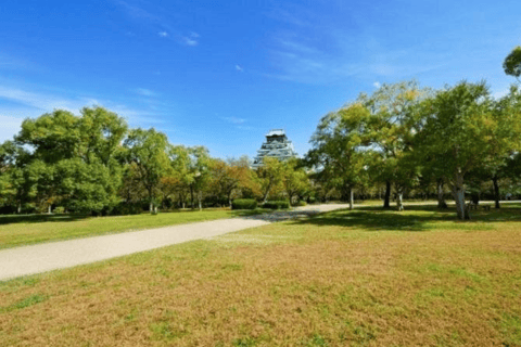 Osaka: Old Town Highlights and Castle Park Walking Tour