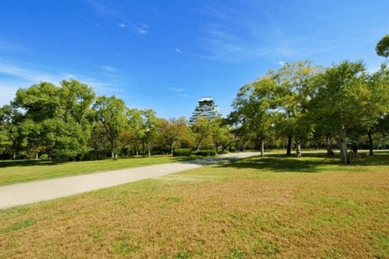 Osaka: Old Town Highlights and Castle Park Walking Tour