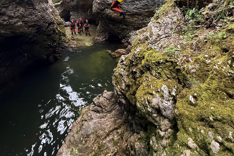 Bled: Adventure Canyoning tour Grmecica