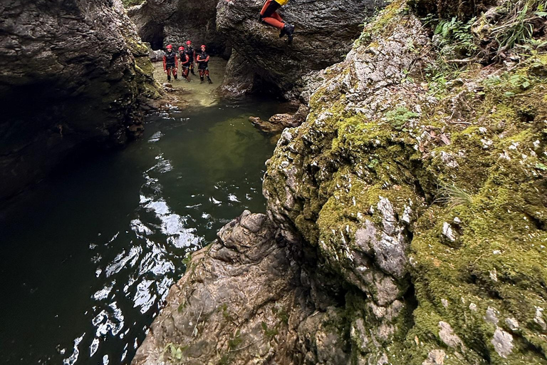 Bled: Adventure Canyoning tour Grmecica